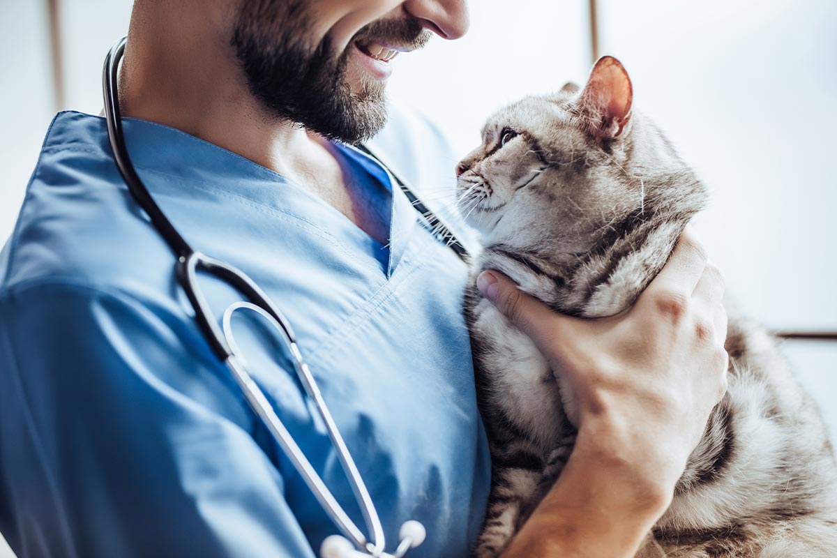 Request An Appointment At Cameron Animal Hospital In Montclair Nj Request An Appointment At Cameron Animal Hospital In Montclair Nj